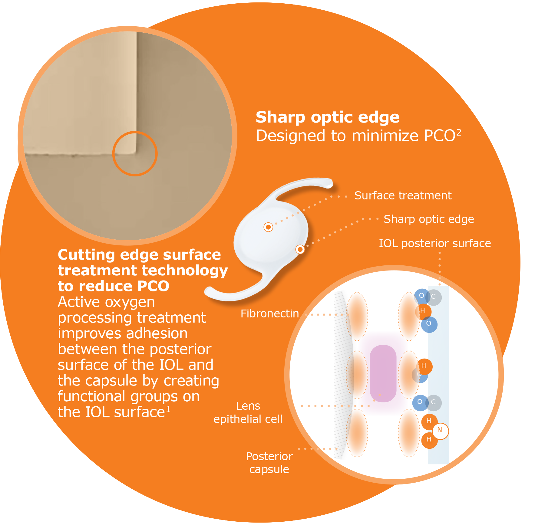 Nanex IOL Hoya Surgical Optics